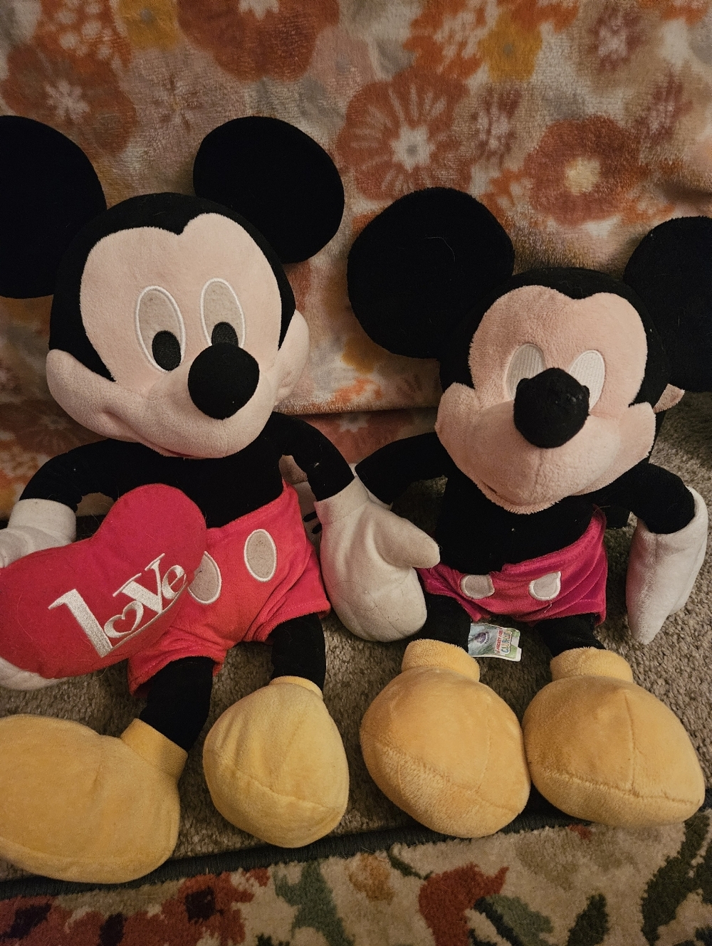 Mickey Lot